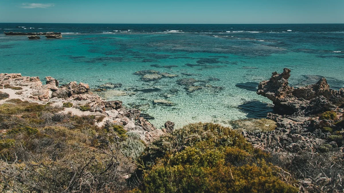 Full-spectrum CBD oil explained — shipped across Australia