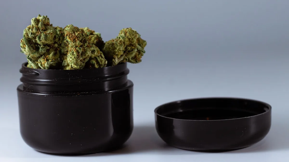 Hemp plant — Hemp Bombs review